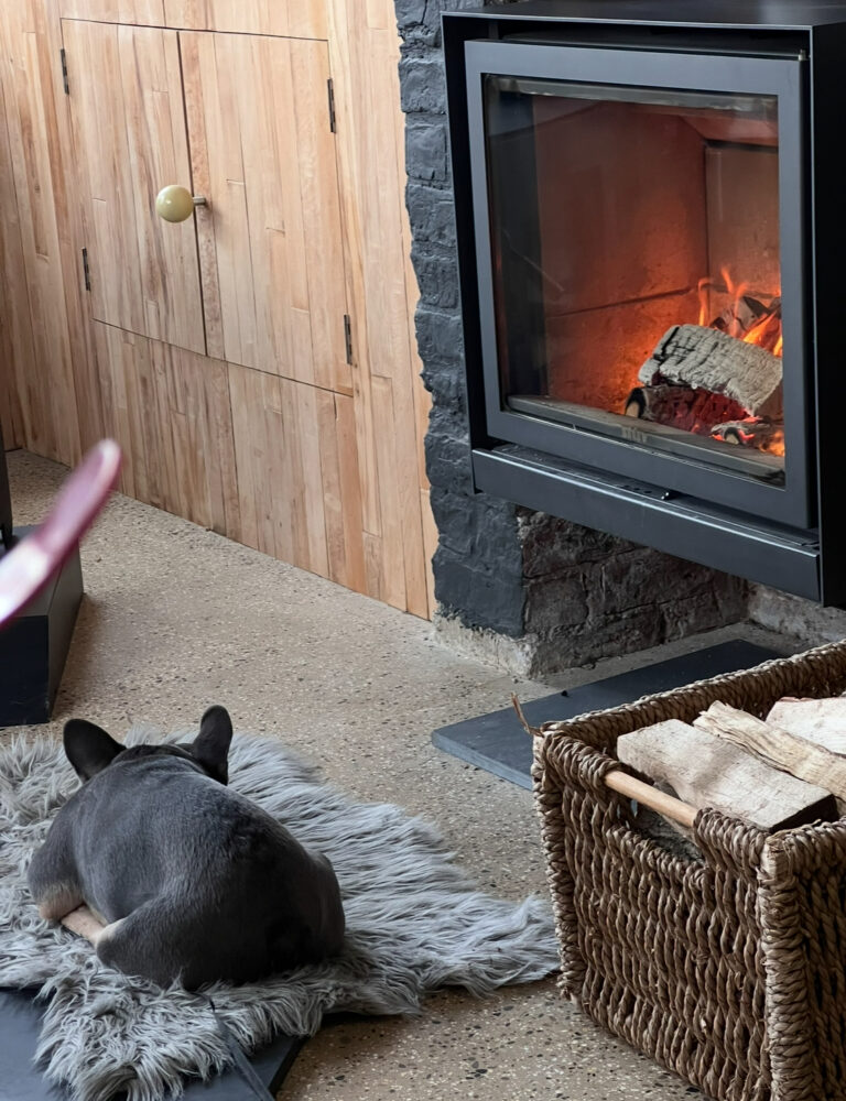 Service A Wood Burner 10 Top Reasons